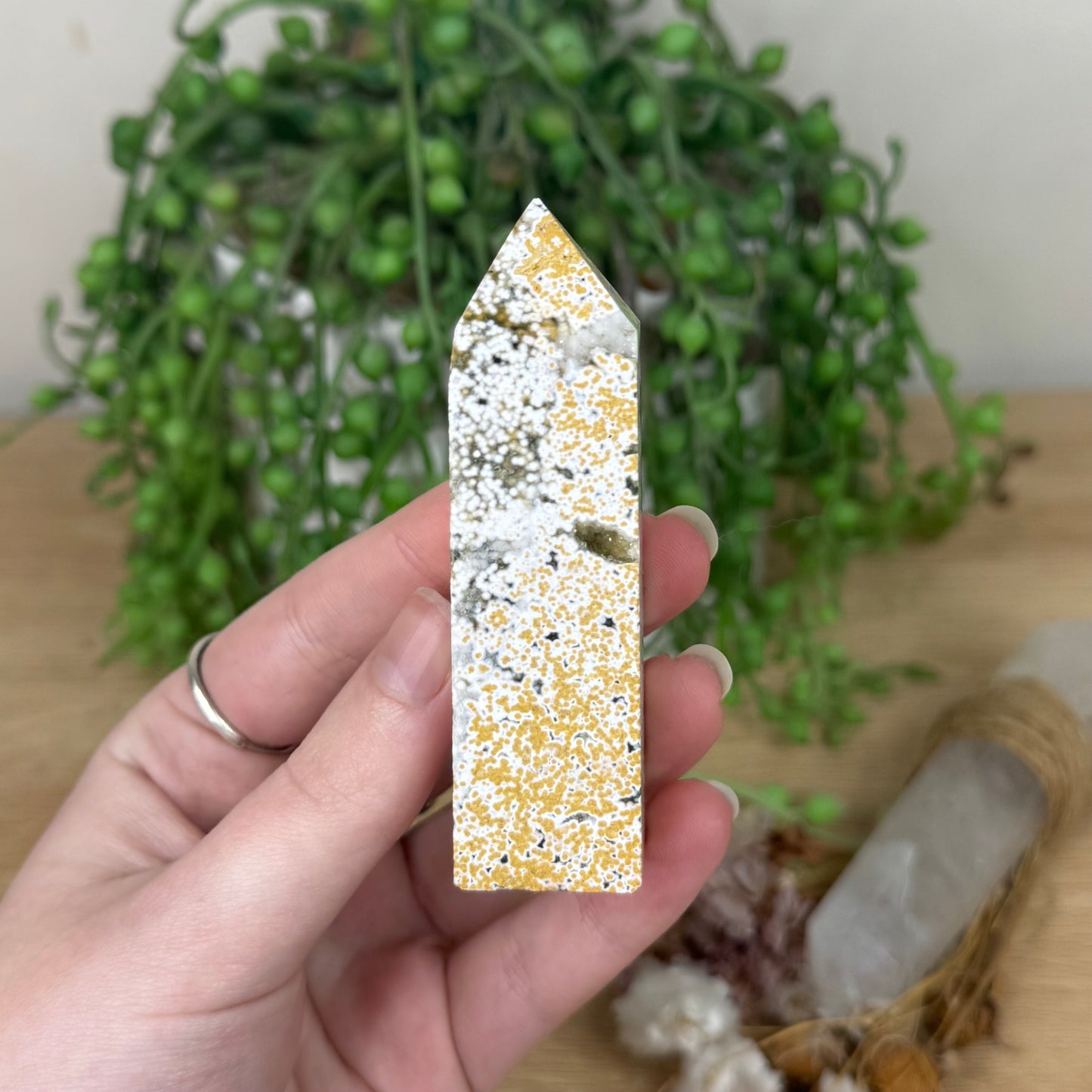Ocean Jasper Point (S27)
