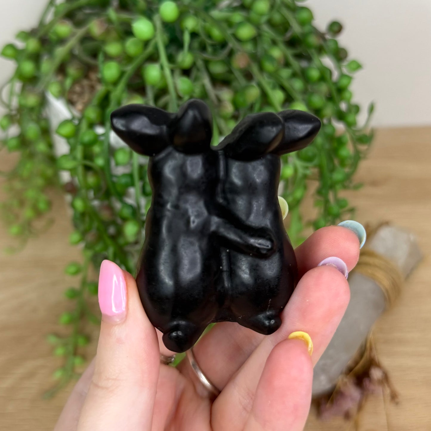 Black Obsidian Bunny Family (Y158)