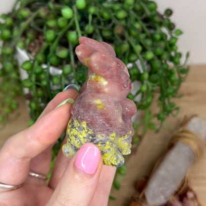 Plum Blossom Jasper Bunny Family (Y161)