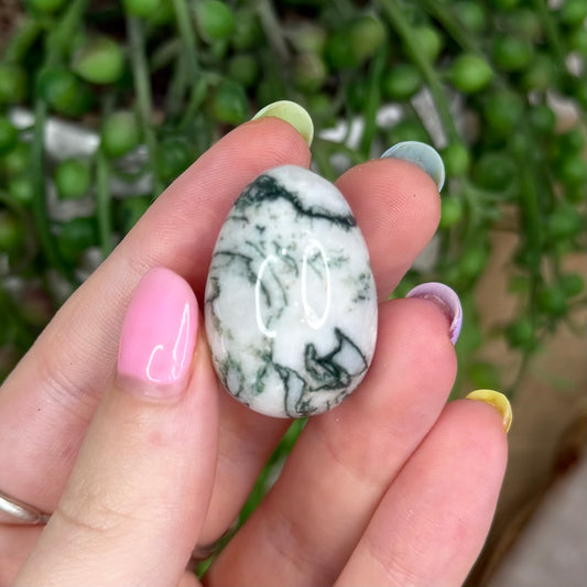 Tree Agate Mini Eggs