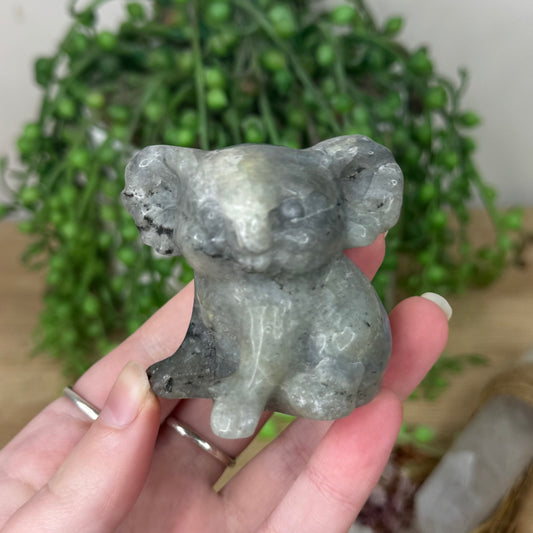 Labradorite Koala (S41)
