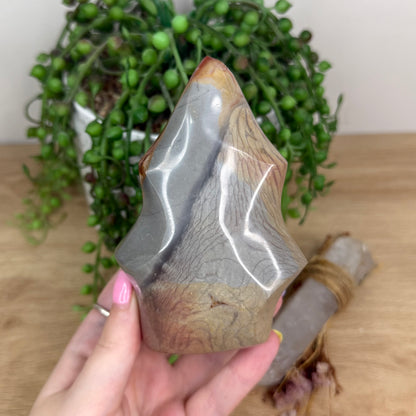 Polychrome Jasper Flame (Y156)