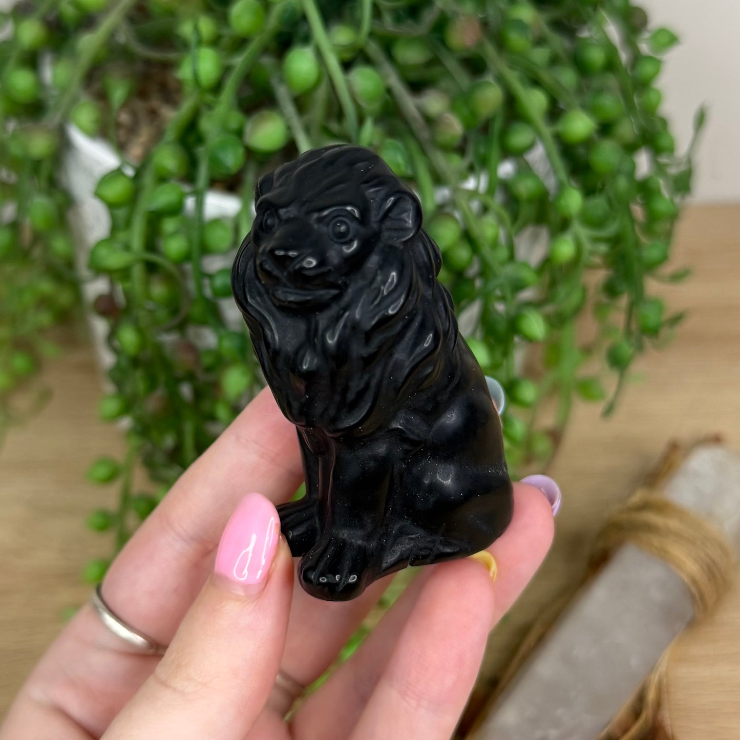 Black Obsidian Lion (Y135)