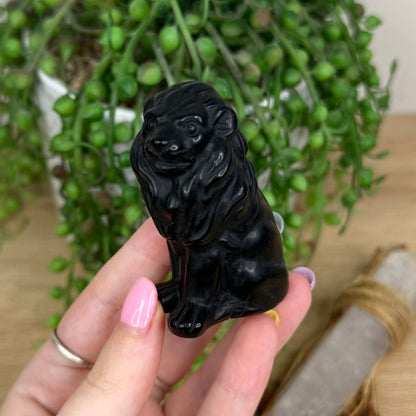 Black Obsidian Lion (Y135)
