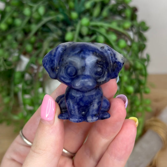 Sodalite Dog (Y193)