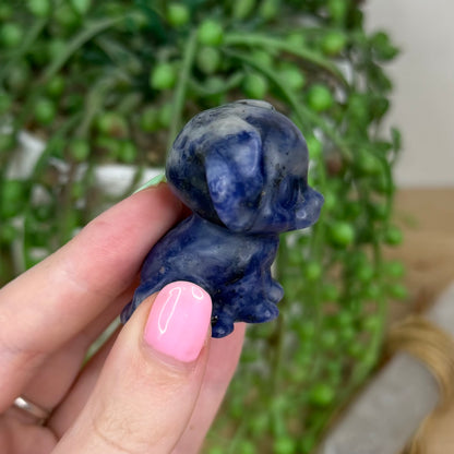 Sodalite Dog (Y193)