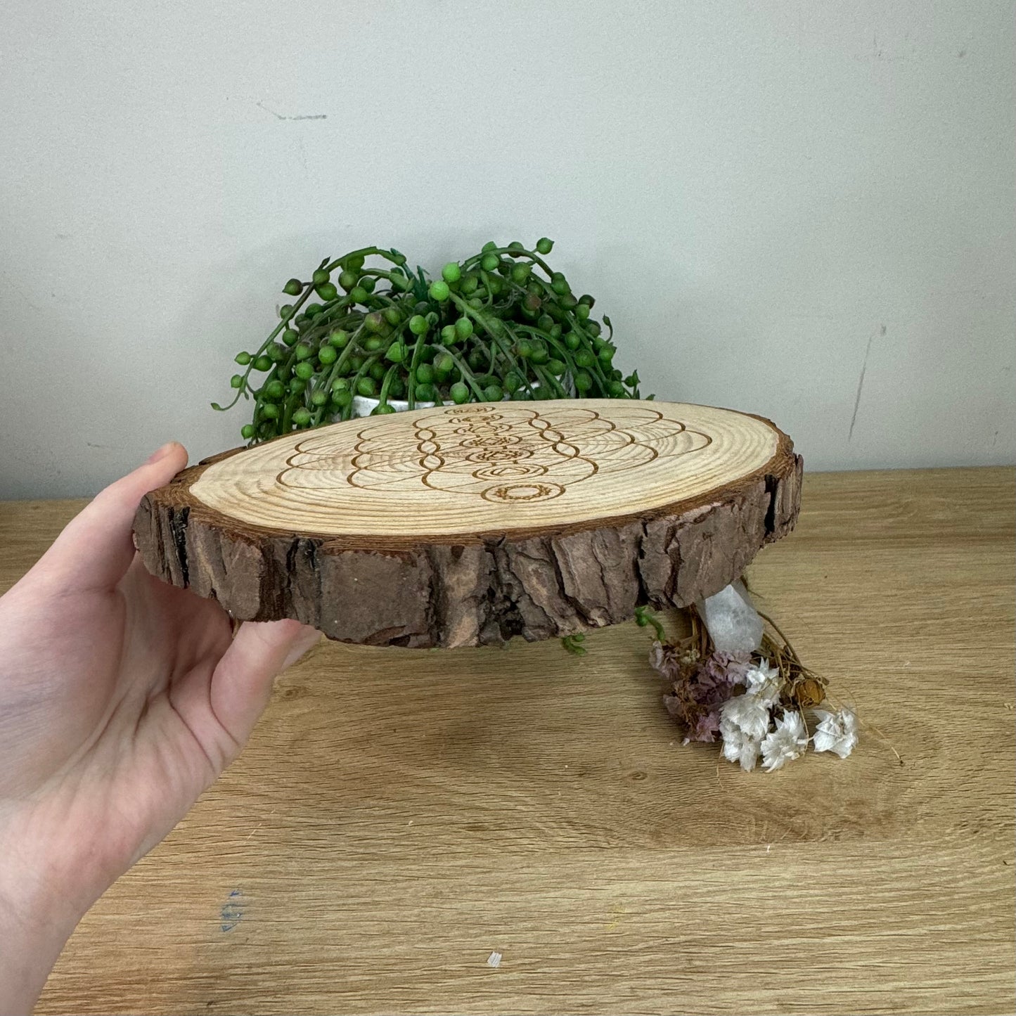 Chakra Wooden Log Slice