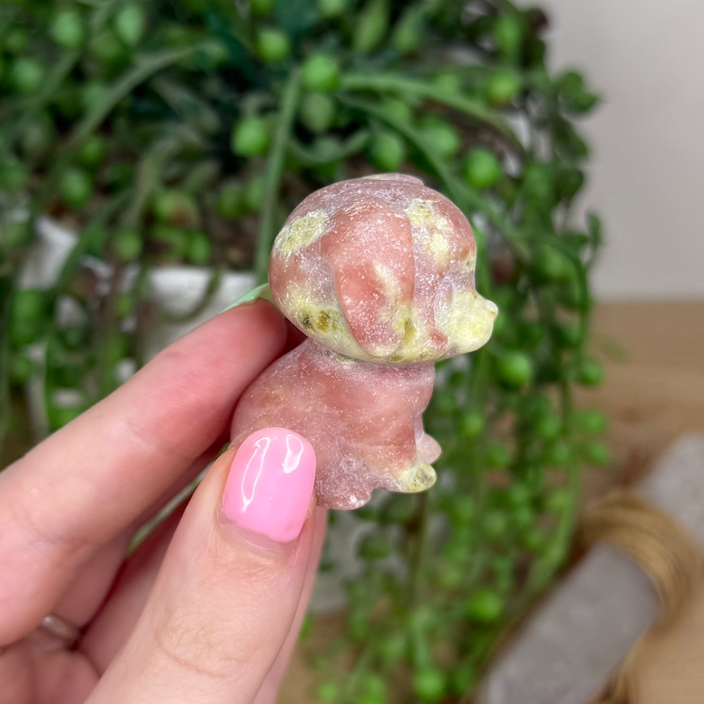Plum Blossom Jasper Dog (Y199)