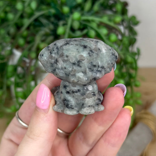 Kiwi Jasper Dog (Y186)