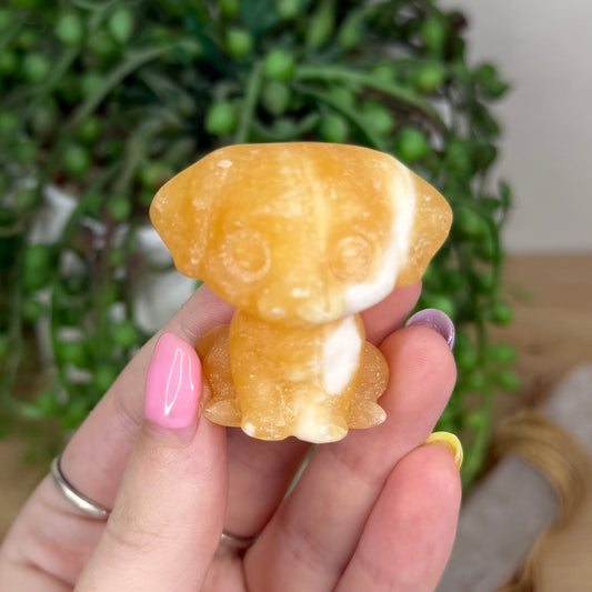 Yellow Calcite Dog (Y195)