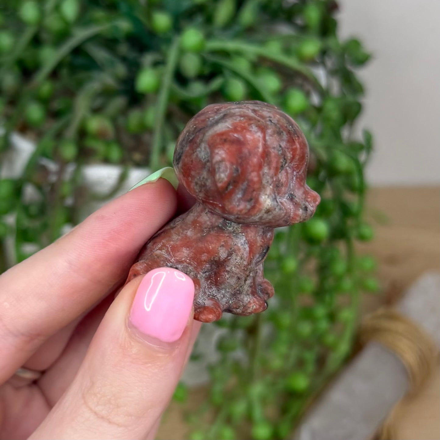 Red Sesame Dog (Y197)