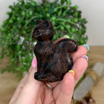 Mahogany Obsidian Cat (Y202)