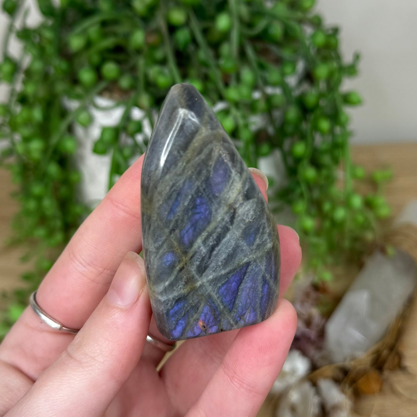 Labradorite Free Form (S280)