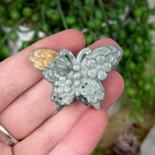 Alashan Butterfly (S270)