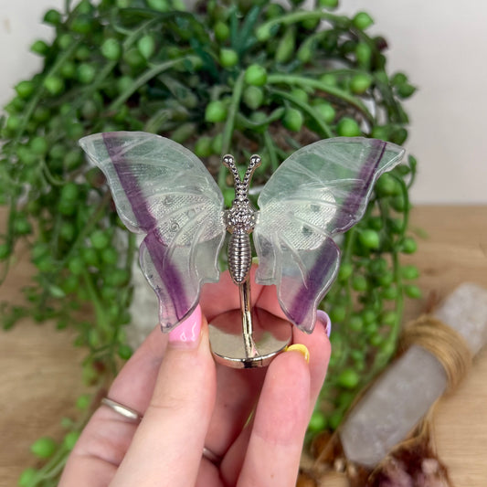 Fluorite Butterfly Wings On Stand (Y144)