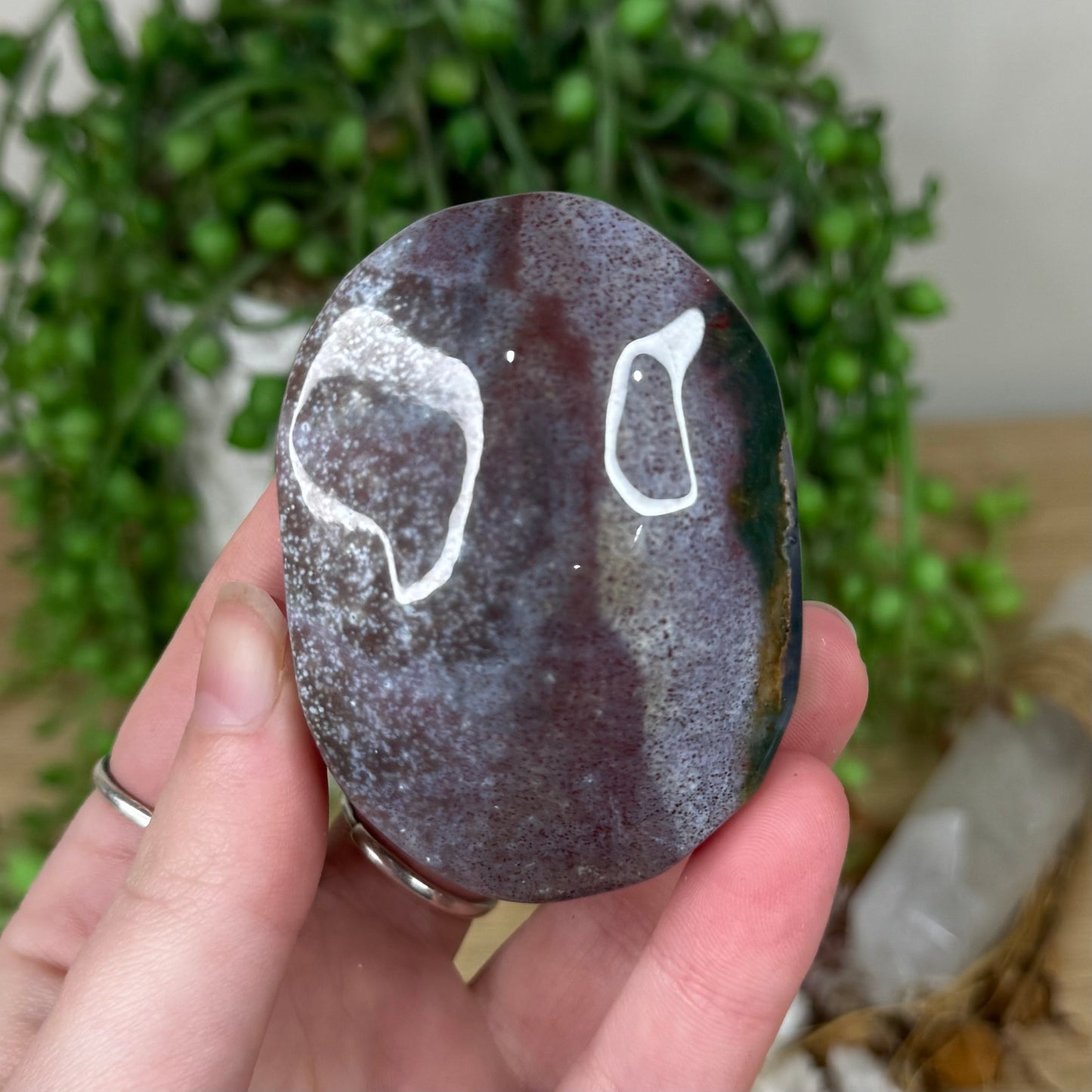 Ocean Jasper Palm Stone (S315)