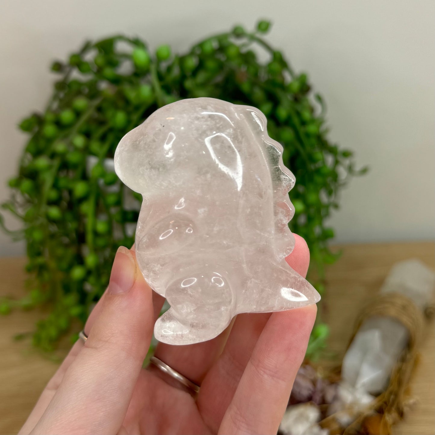 Clear Quartz Chubby Dino (O70)