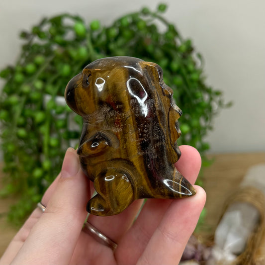 Tiger Eye Chubby Dino (O67)