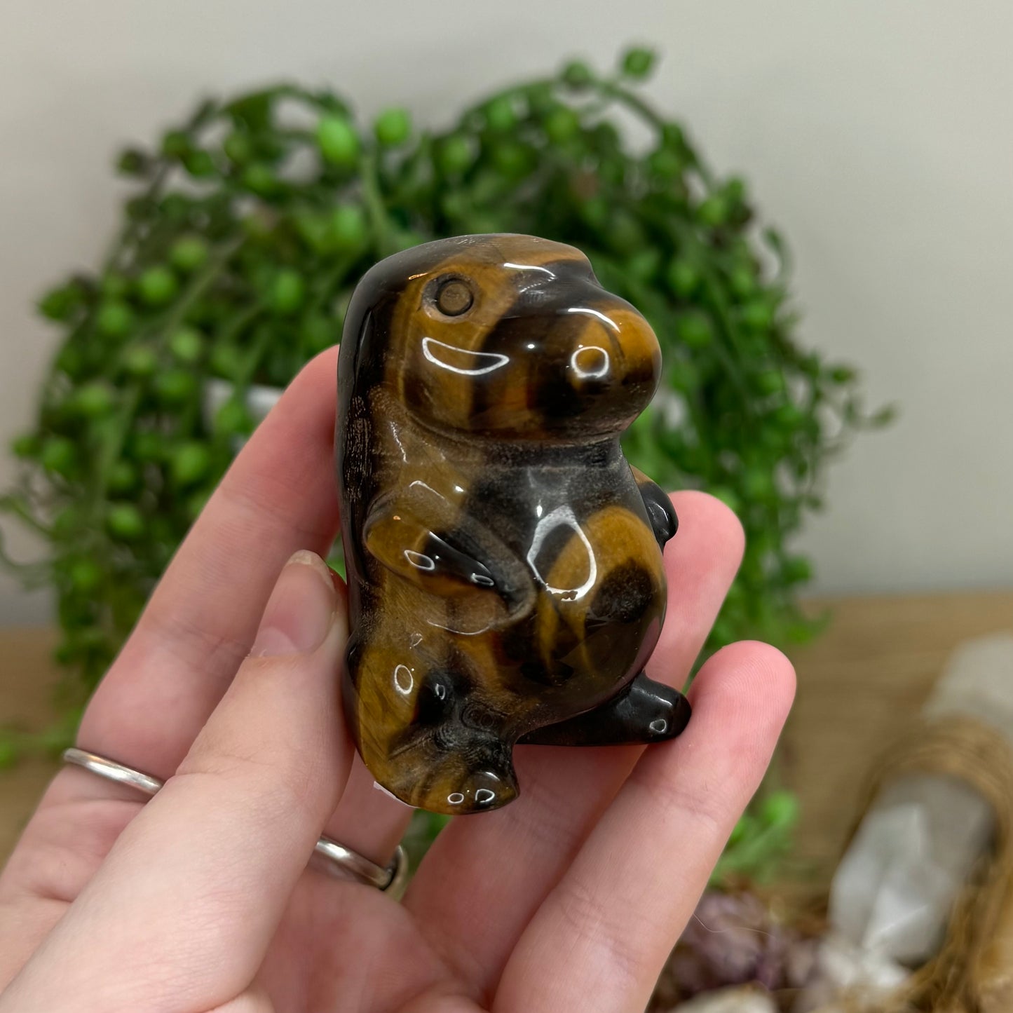 Tiger Eye Chubby Dino (O67)