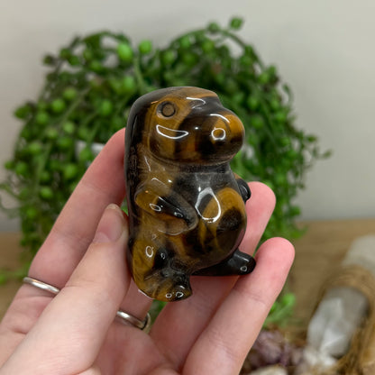 Tiger Eye Chubby Dino (O67)