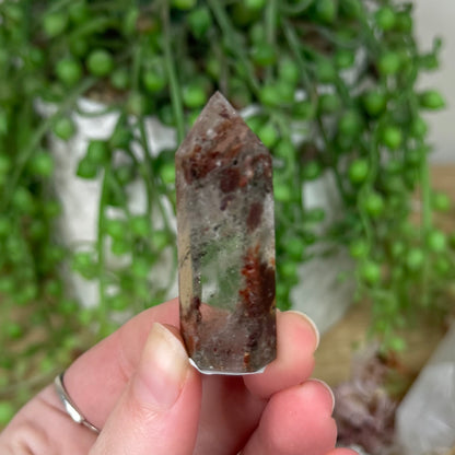 Garden Quartz Point (S198)