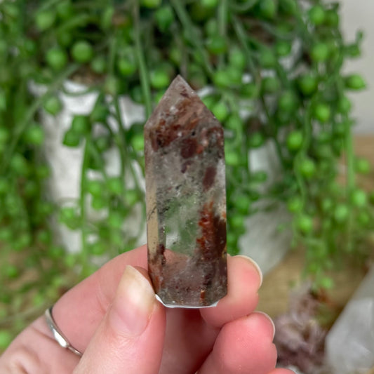 Garden Quartz Point (S198)