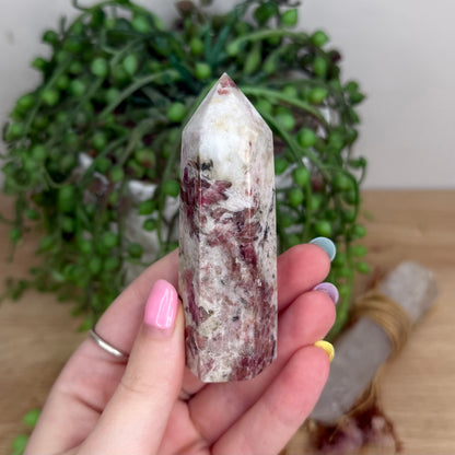 Kunzite / Pink Tourmaline Point (Y262)
