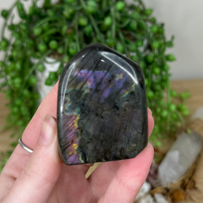 Labradorite Free Form (S151)