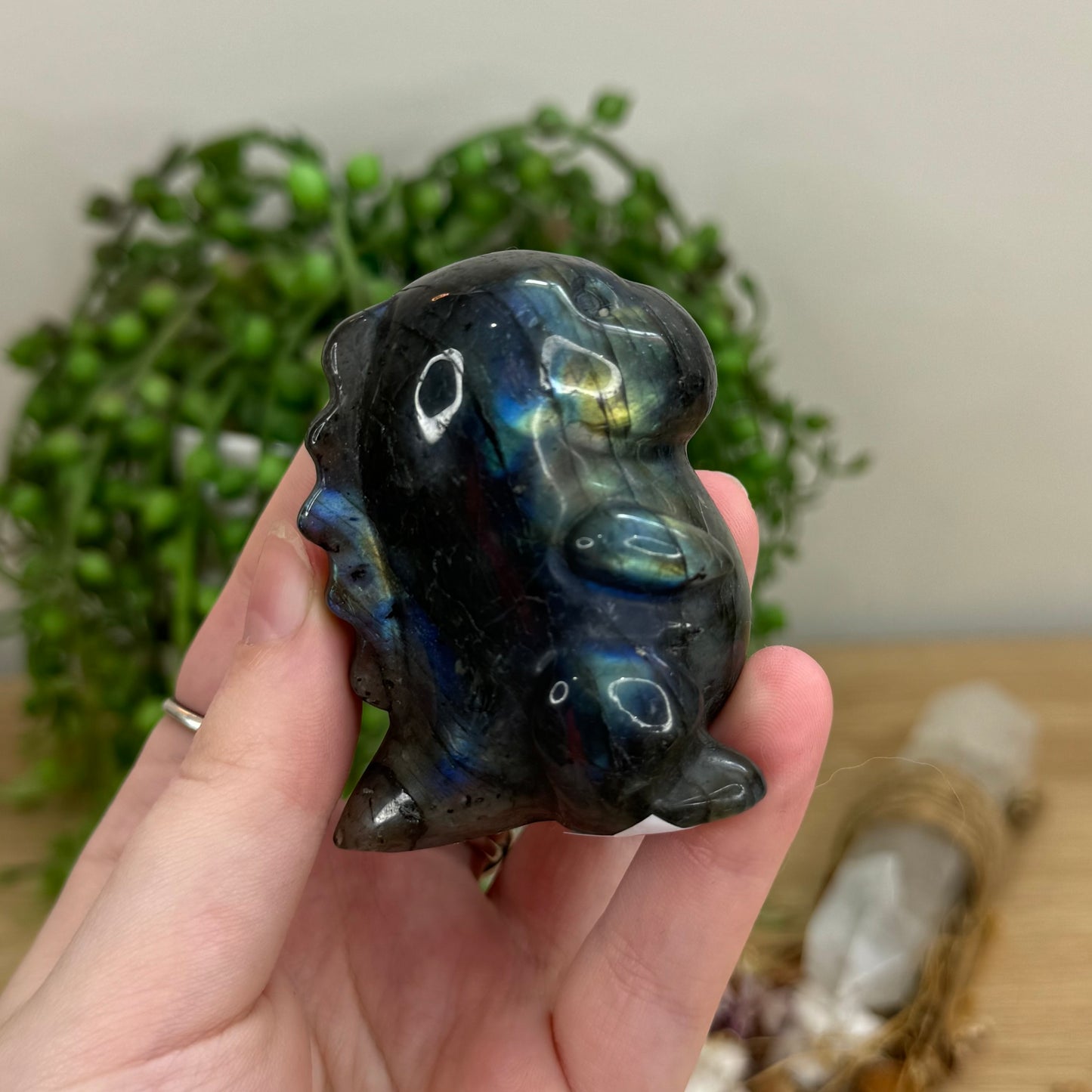 Labradorite Chubby Dino (O56)