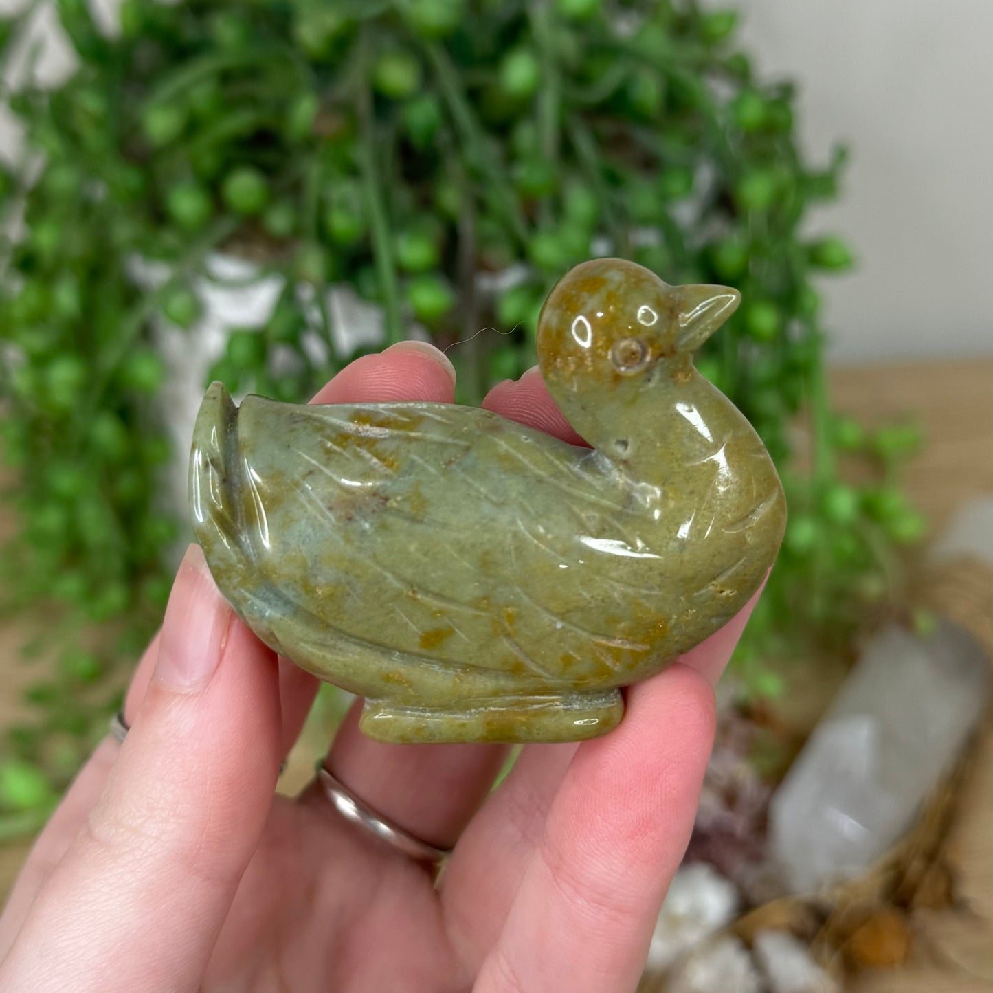 Moss Agate / Ocean Jasper Duck (R715)