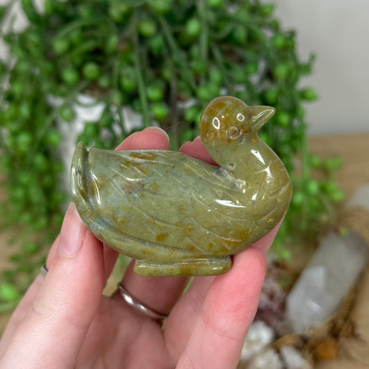 Moss Agate / Ocean Jasper Duck (R715)