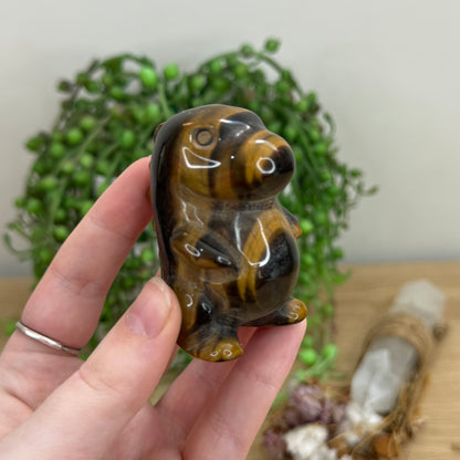 Tiger Eye Chubby Dino (O66)