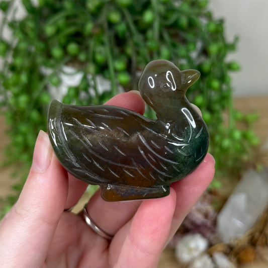 Moss Agate / Ocean Jasper Duck (R714)