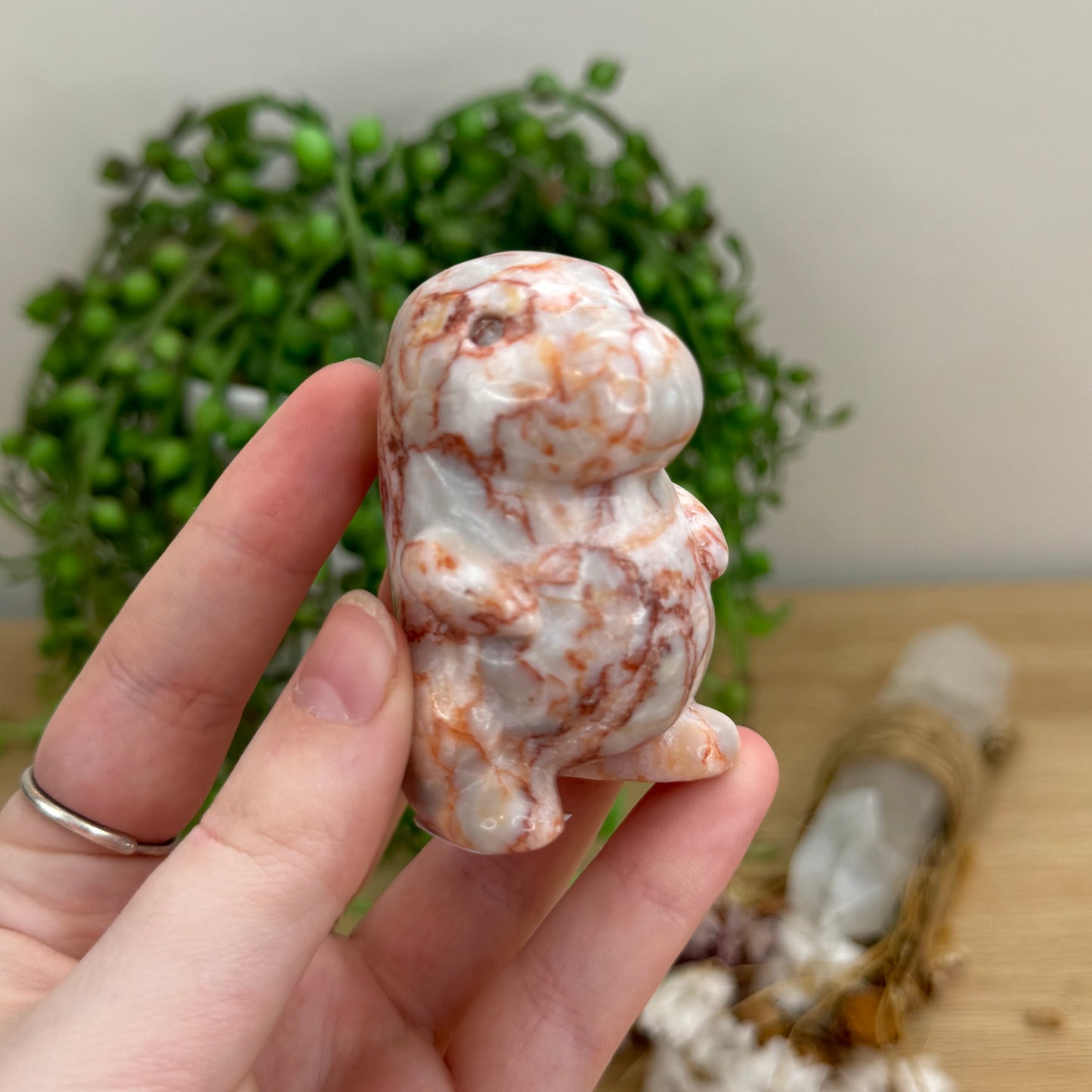 Red Vein Jasper Chubby Dino (O62)