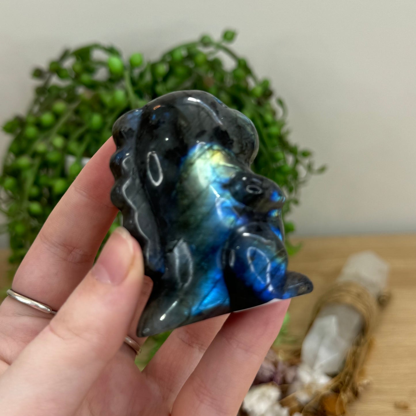 Labradorite Chubby Dino (O57)