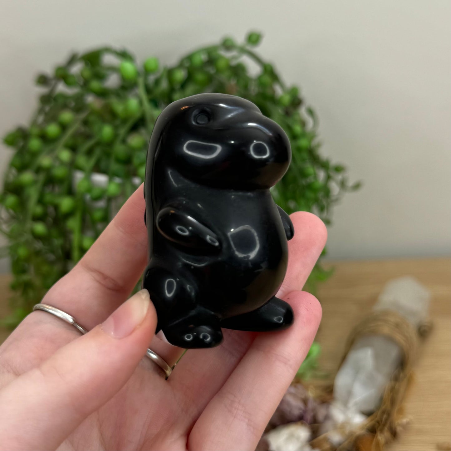 Black Obsidian Chubby Dino (O64)