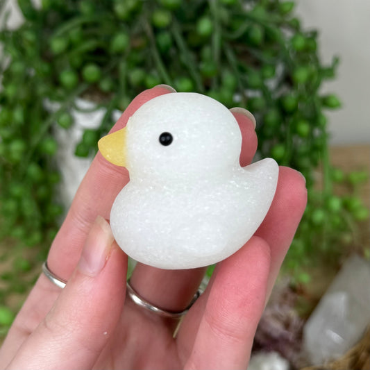 White Jade Duck (S76) (S77) (S75)