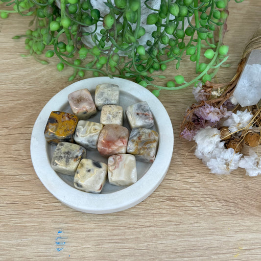 Crazy Lace Agate Cubes