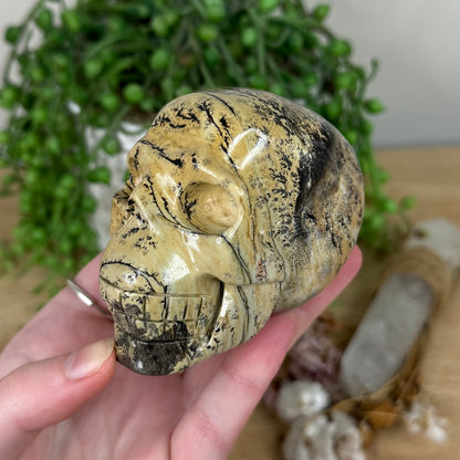 Picture Stone Jasper Skull (S316)
