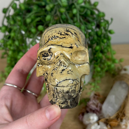 Picture Stone Jasper Skull (S316)