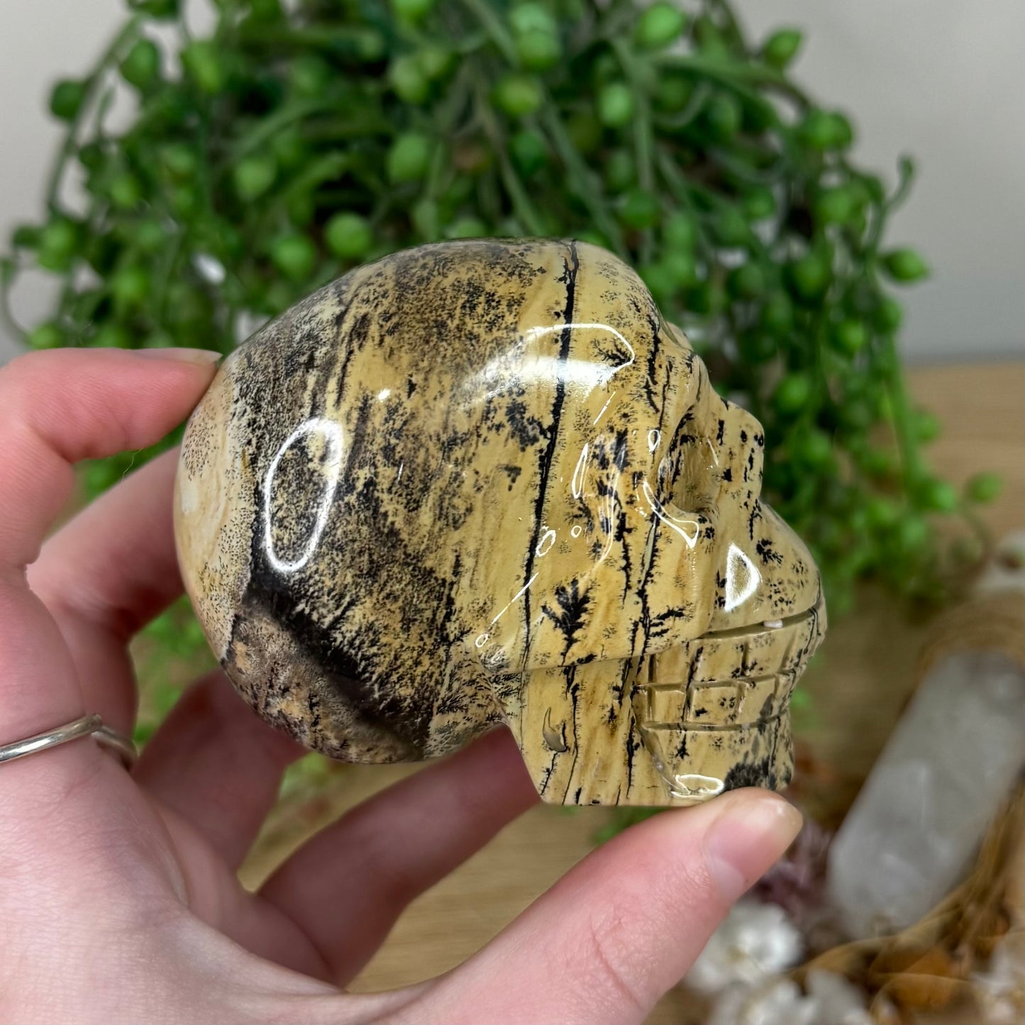 Picture Stone Jasper Skull (S316)