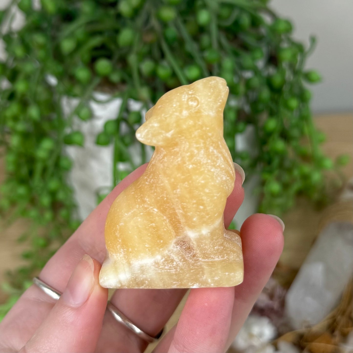 Yellow Calcite Wolf (S403)