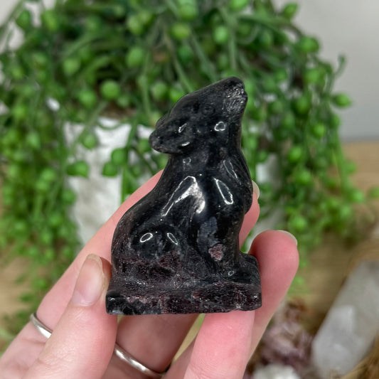 Garnet Wolf (S404)