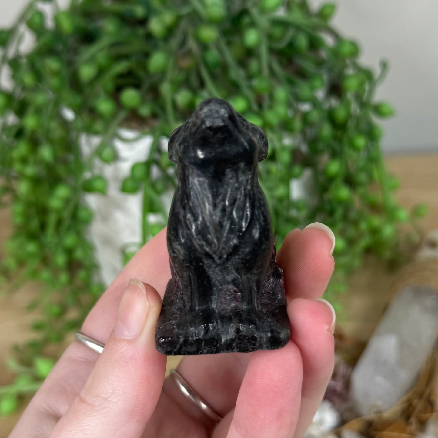 Garnet Wolf (S404)