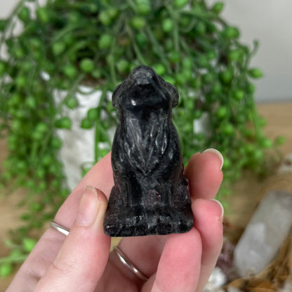 Garnet Wolf (S404)