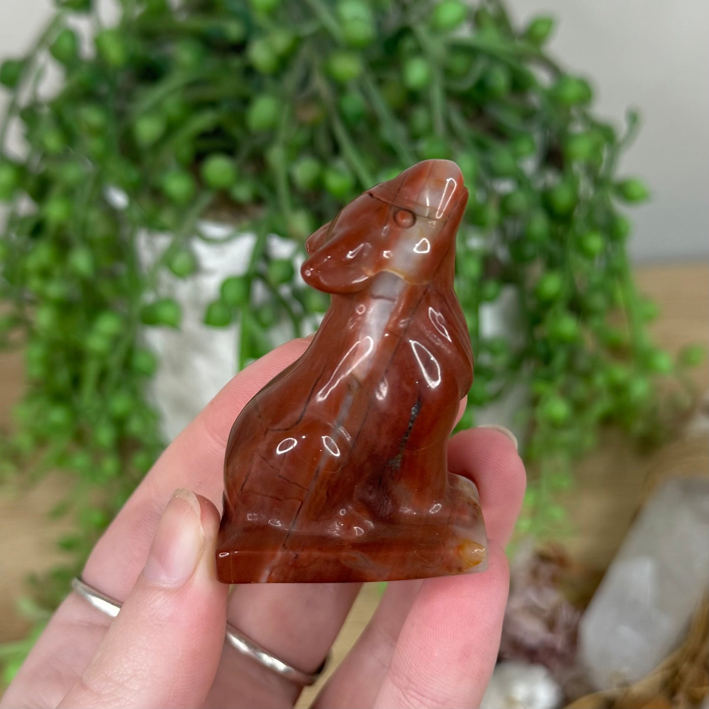 Red Jasper Wolf (S405)