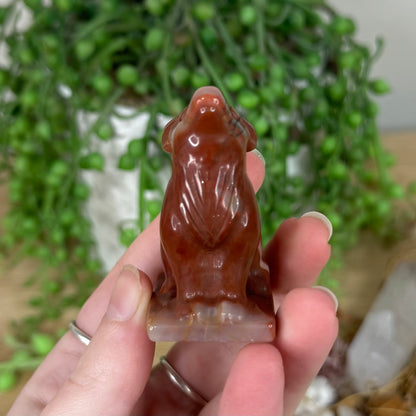 Red Jasper Wolf (S405)