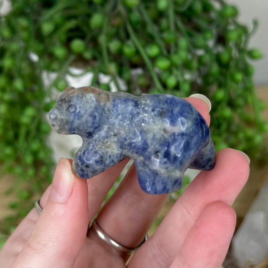 Sodalite Bear (S412)