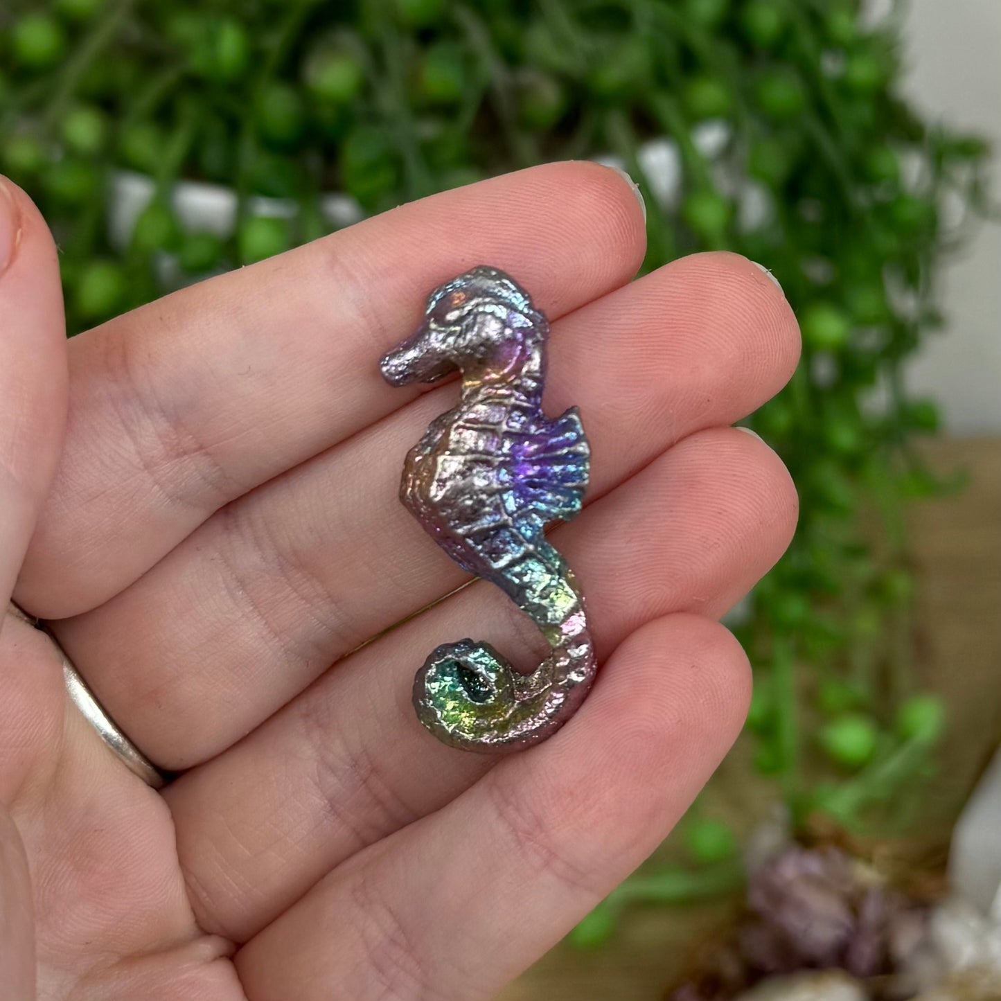 Aura Bismuth Seahorse (E856) (E854) (E853) (E855)