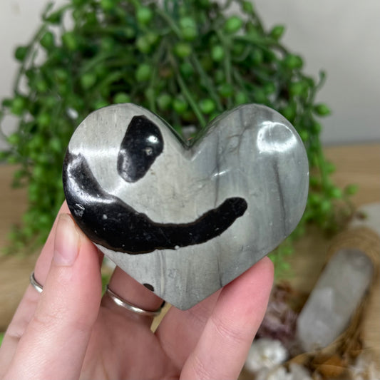 Picture Stone Jasper Heart (S434)